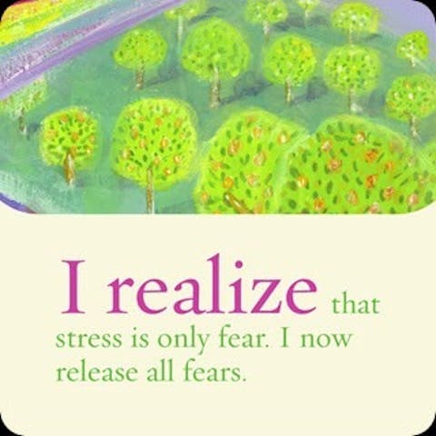 Ik besef dat stress enkel angst is. Ik laat nu alle angst los.