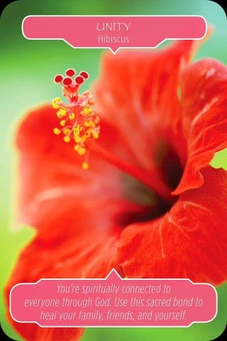 Eenheid - Hibiscusbloem