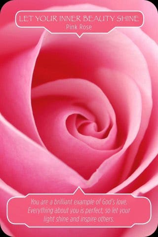 Laat je innerlijke schoonheid stralen - Roze Roos