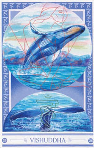 De Walvis van Vishuddha
